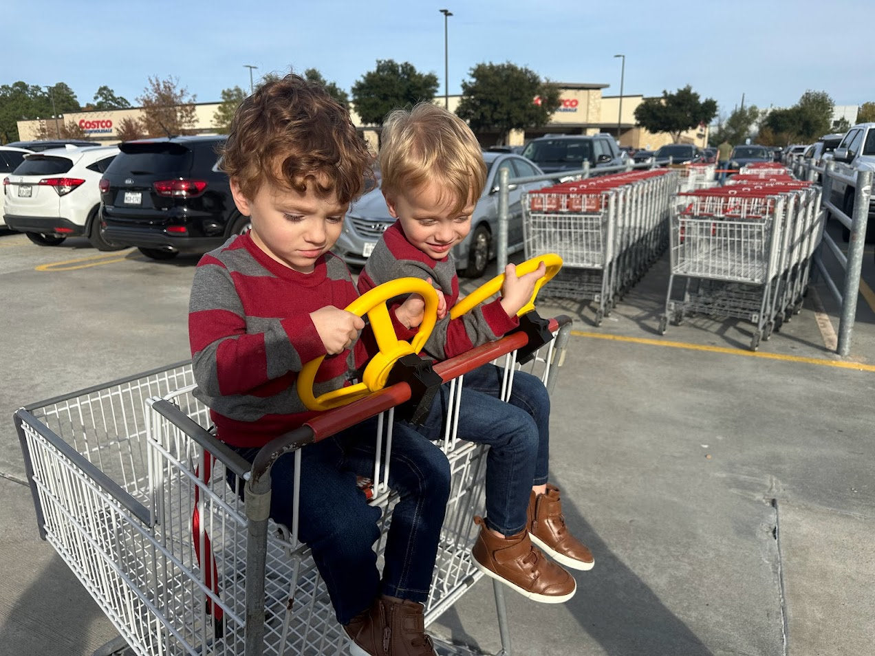 Shopping cart steering wheel